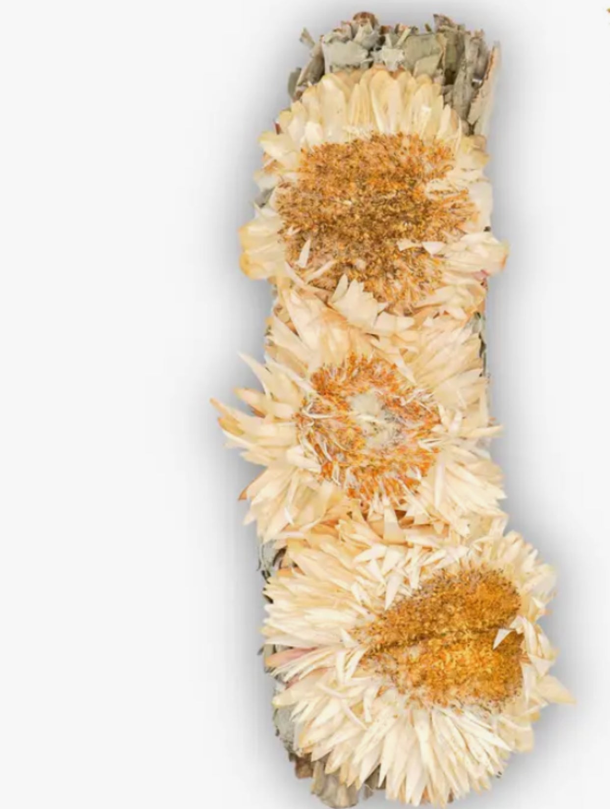 Good Intentions Sage