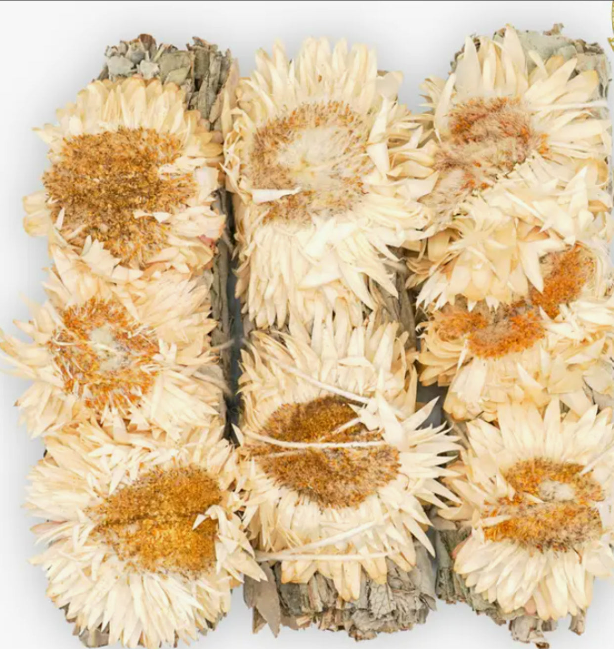 Good Intentions Sage