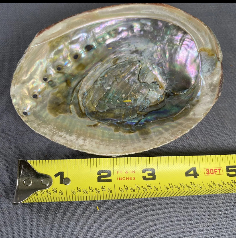 Abalone SeaShell Smudge Bowl Ashtray Scented Candle Molds Incense Burn 4-5 inch