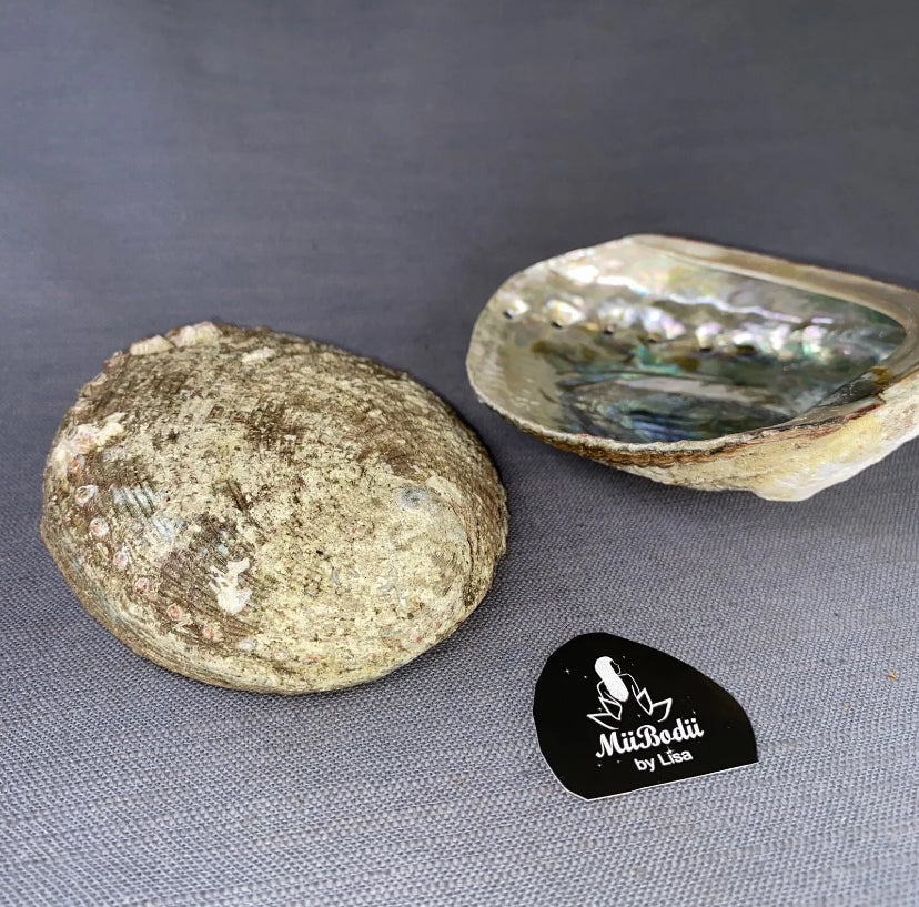 Abalone SeaShell Smudge Bowl Ashtray Scented Candle Molds Incense Burn 4-5 inch