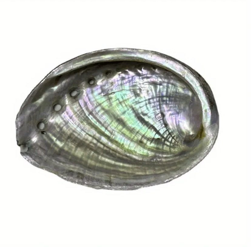 Abalone SeaShell Smudge Bowl Ashtray Scented Candle Molds Incense Burn 4-5 inch