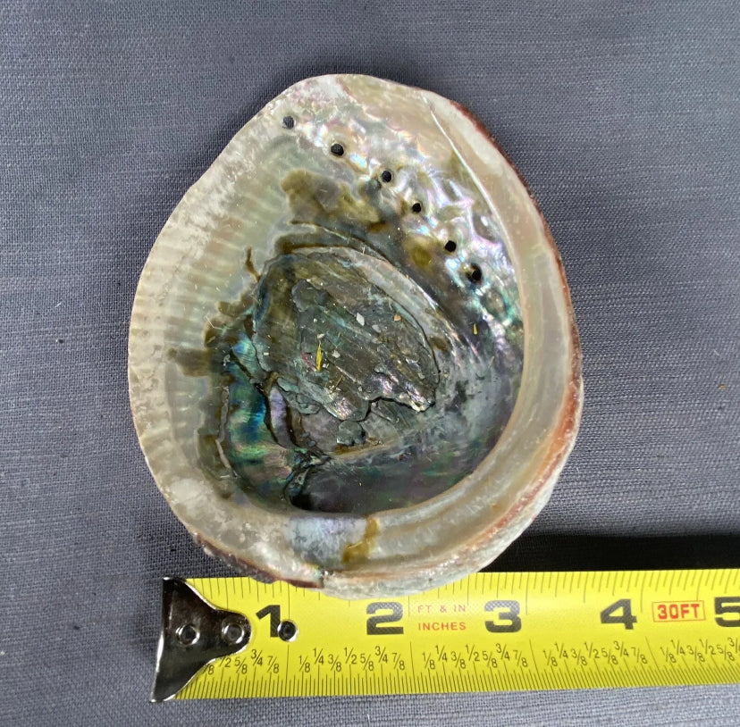 Abalone SeaShell Smudge Bowl Ashtray Scented Candle Molds Incense Burn 4-5 inch